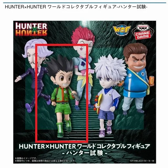 Bゴン】HUNTER×HUNTER ワールドコレクタブルフィギュア-ハンター試験 
