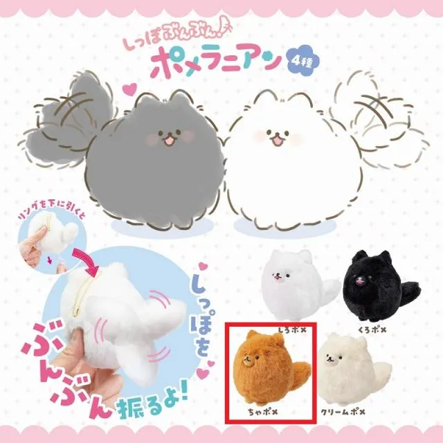 Cちゃポメ】しっぽぶんぶん!ポメラニアン オンラインクレーンゲーム