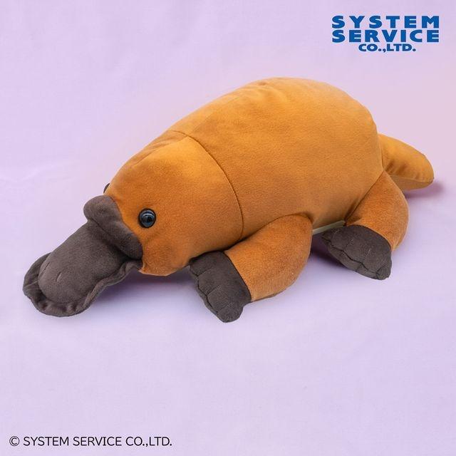 FANS カモノハシぬいぐるみXL プレミアム オンラインクレーンゲーム