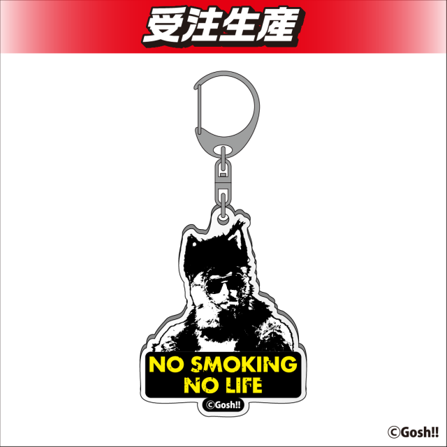 STRADOM AZM アクリルスタンド DMMオンクレ限定 STRADOM AZM アクリルスタンド DMMオンクレ限定 スターダム