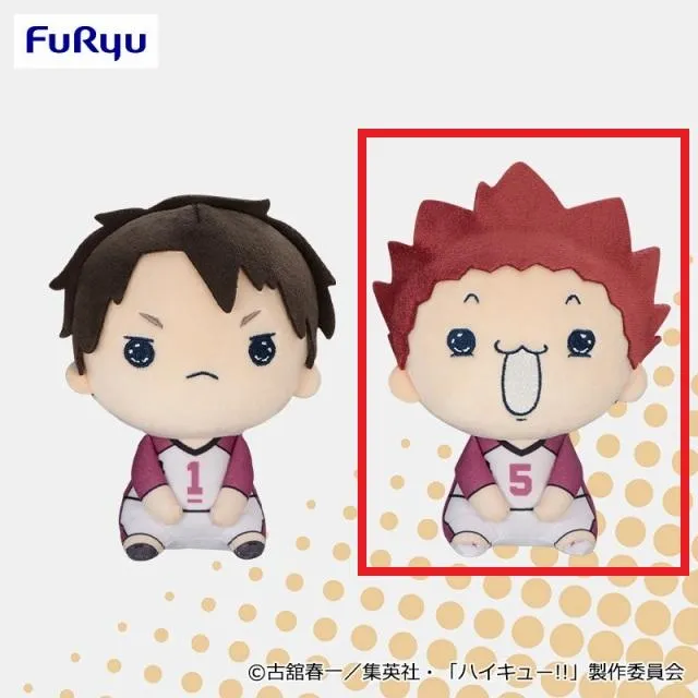 B天童覚】ハイキュー!! もちぴこぬいぐるみ⑧ オンラインクレーン