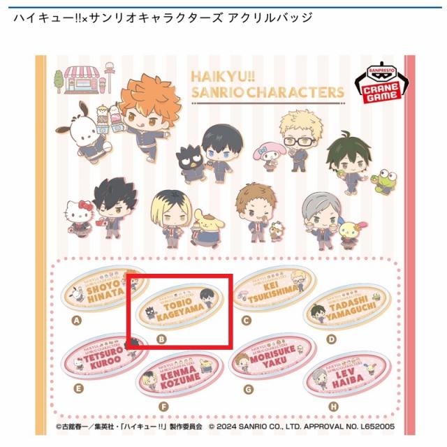 B影山飛雄/バッドばつ丸】ハイキュー!!×サンリオキャラクターズ