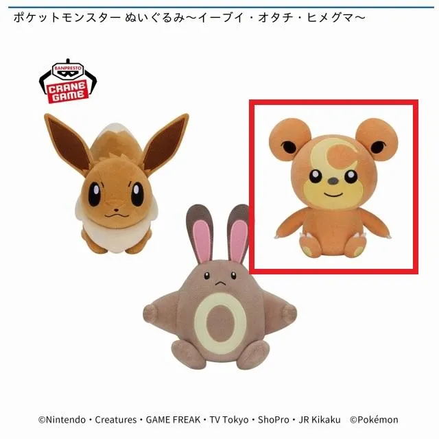 Cヒメグマ】ポケットモンスター ぬいぐるみ～イーブイ・オタチ