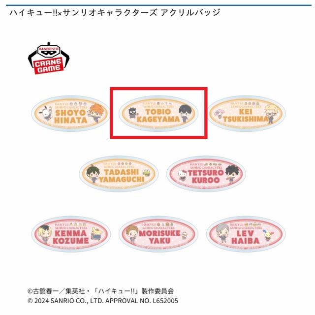 B影山飛雄/バッドばつ丸】ハイキュー!!×サンリオキャラクターズ