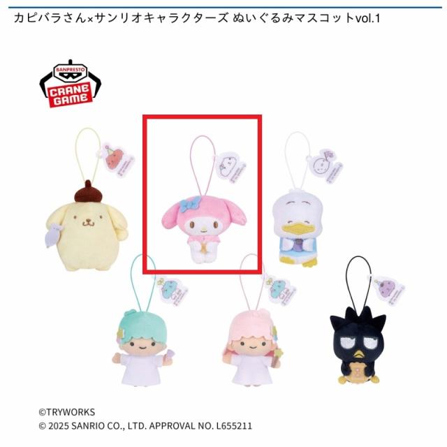 Bマイメロディ】カピバラさん×サンリオキャラクターズ ぬいぐるみ