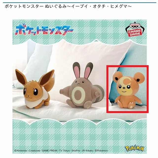 Cヒメグマ】ポケットモンスター ぬいぐるみ～イーブイ・オタチ