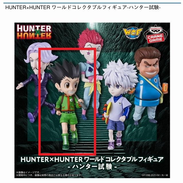 Bゴン】HUNTER×HUNTER ワールドコレクタブルフィギュア-ハンター