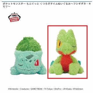 Bキモリ】ポケットモンスター もふぐっと くつろぎタイムぬいぐるみ