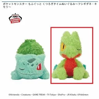Bキモリ】ポケットモンスター もふぐっと くつろぎタイムぬいぐるみ