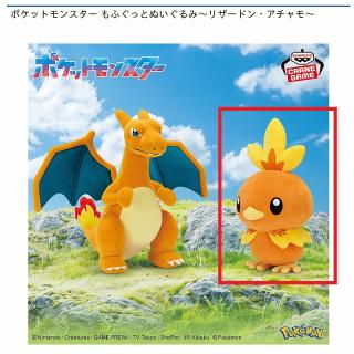 ポケモンセンター アニバーサリーアチャモぬいぐるみ 2008年製レア
