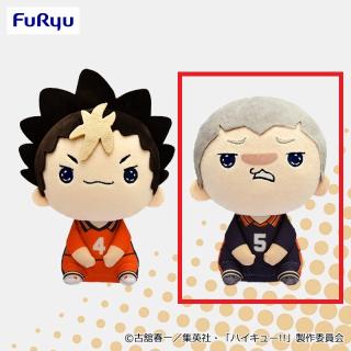 B田中龍之介】ハイキュー!! もちぴこぬいぐるみ④ オンラインクレーン