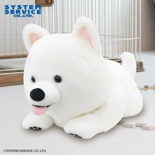 犬　ぬいぐるみ FANS サモエドの子犬ぬいぐるみXL プレミアム オンラインクレーン