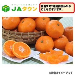 Jゆっくり早苗】東方Project ホログラム缶バッジ ～ゆっくりし