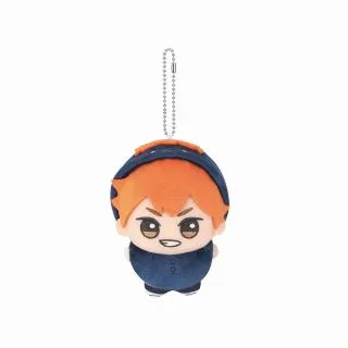 ハイキュー!! ちびぐるみ ぬいぐるみ マスコット vol.1 日向翔陽 A日向翔陽】ハイキュー!! ちびぐるみ～アニマルポンチョ～vol.1