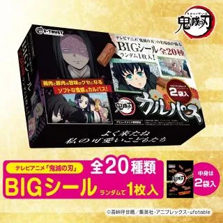 Bデザイン】鬼滅の刃 テレビアニメ名場面カルパスマルチBOX2種(シール