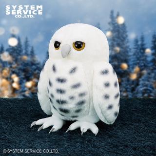 FANS 白ふくろうぬいぐるみXL プレミアム オンラインクレーンゲーム