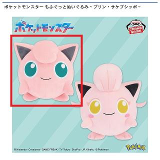 Cヒメグマ】ポケットモンスター ぬいぐるみ～イーブイ・オタチ