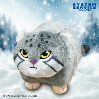 FANS マヌルネコぬいぐるみXL プレミアム オンラインクレーンゲーム